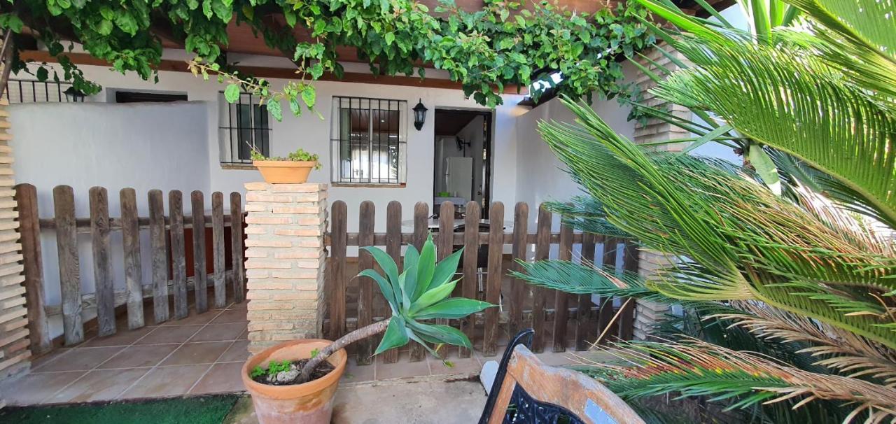Estudios Con Piscina Compartida En Conil. Cádiz Exterior foto